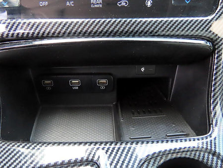 Kia Carnival — photo 14