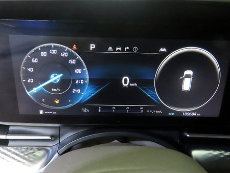 Kia Carnival — photo 09