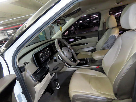 Kia Carnival — photo 06