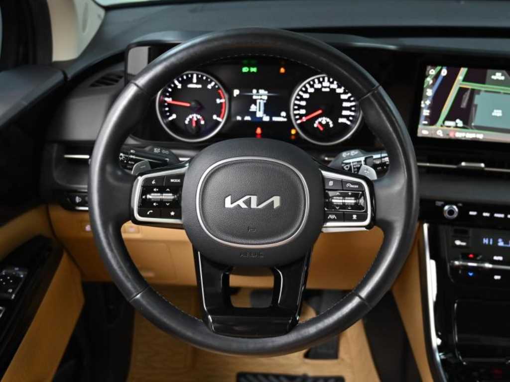 Kia Carnival — photo 13