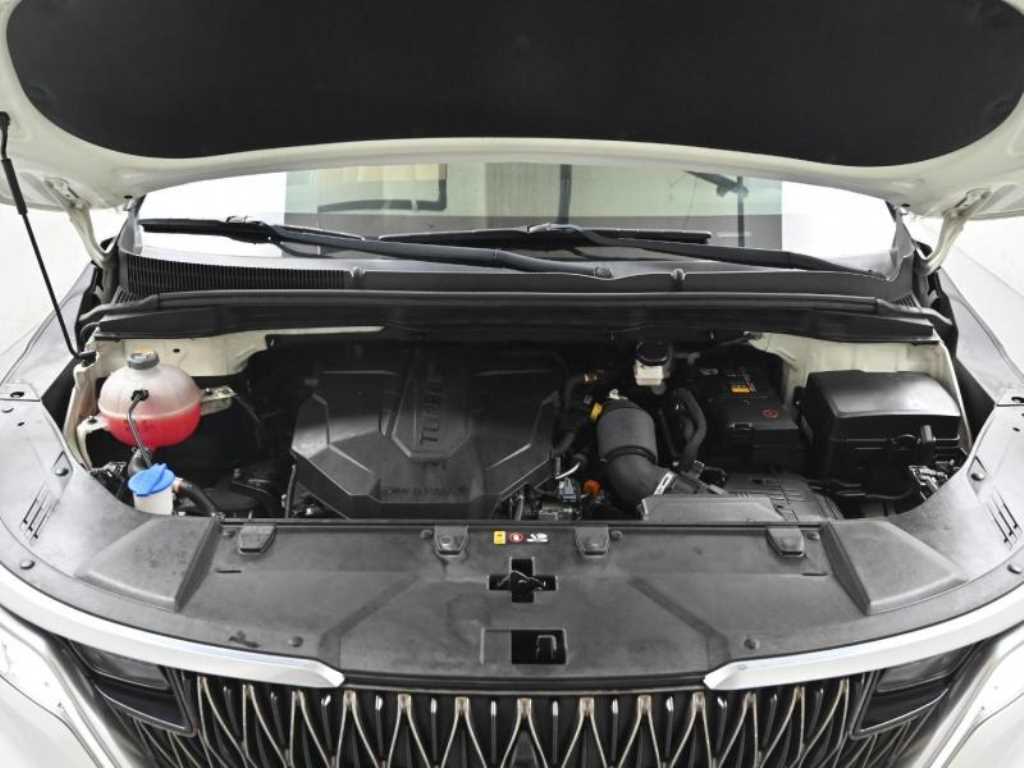 Kia Carnival — photo 06
