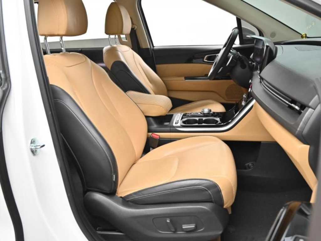 Kia Carnival — photo 10