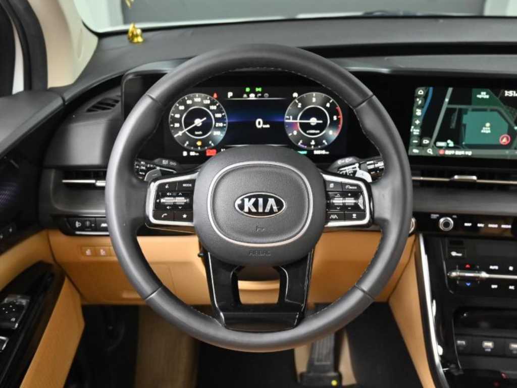 Kia Carnival — photo 13