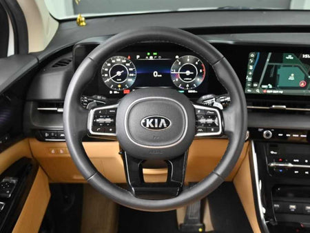 Kia Carnival — photo 13