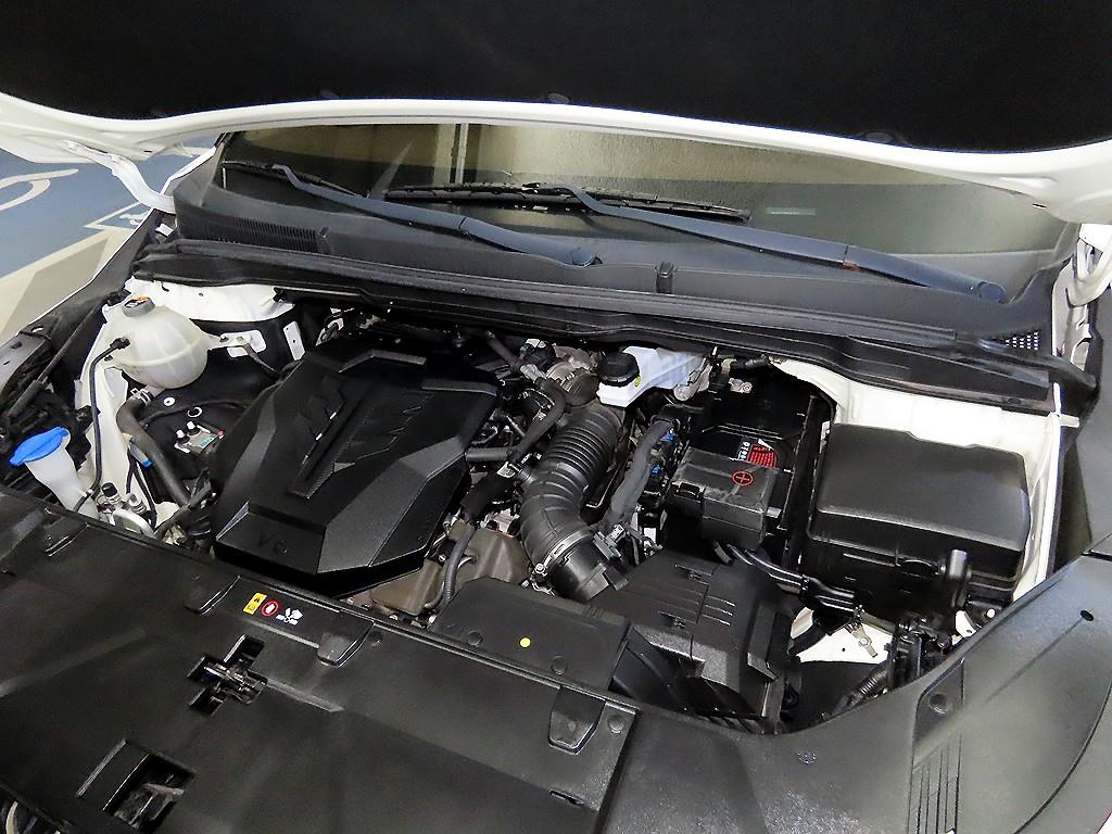 Kia Carnival — photo 19