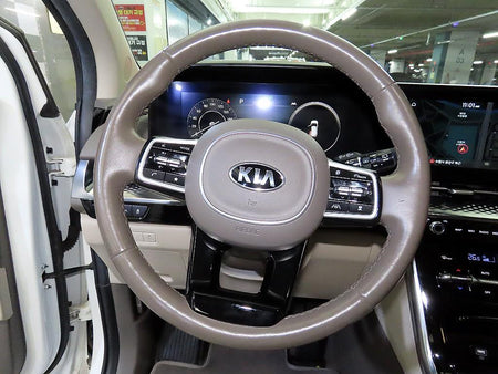 Kia Carnival — photo 08