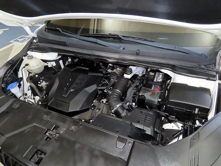 Kia Carnival — photo 19