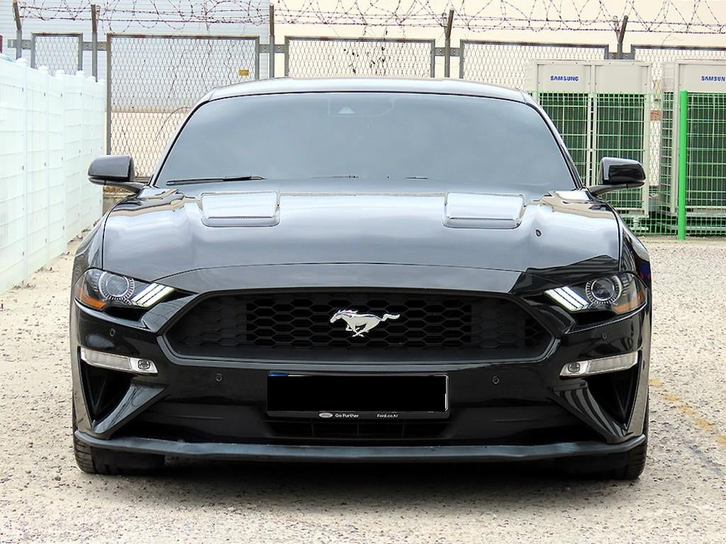 Ford Mustang — photo 01