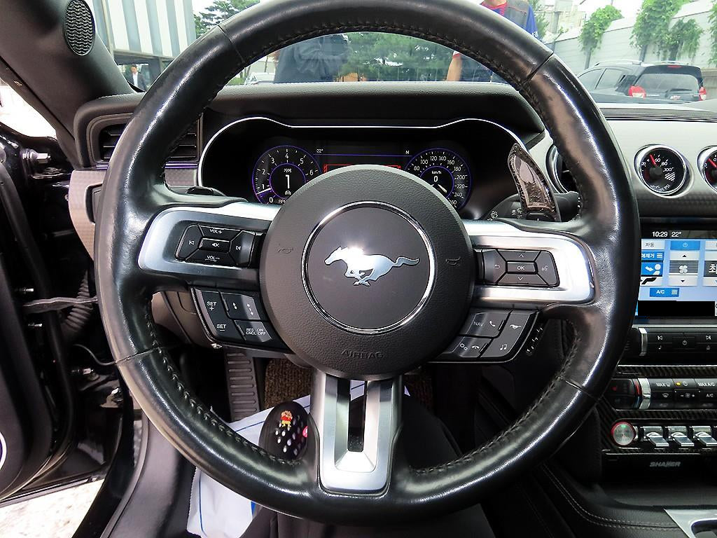Ford Mustang — photo 08