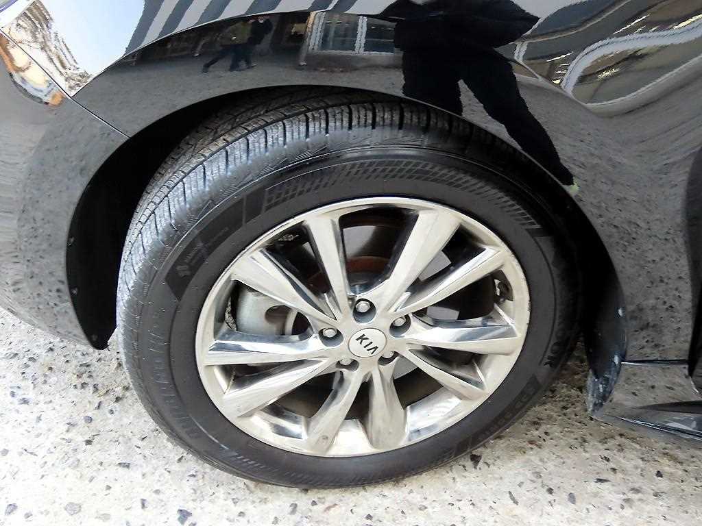 Kia Carnival — photo 20