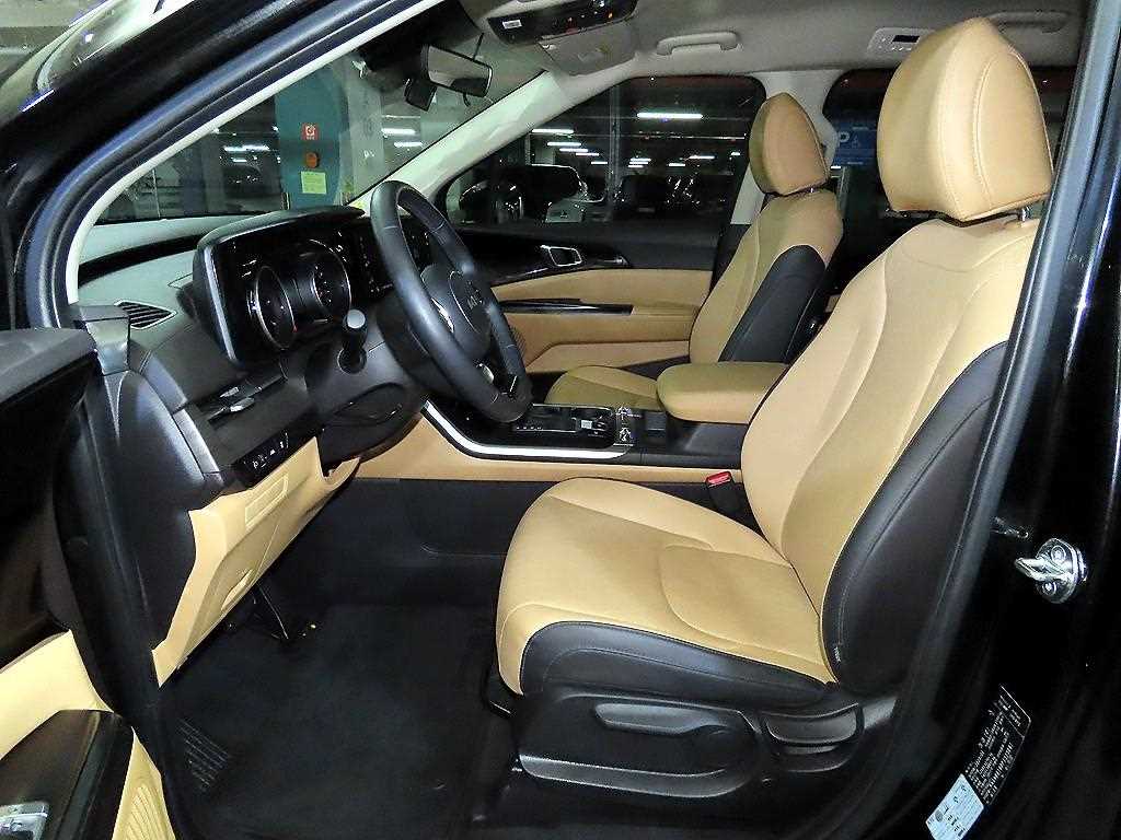 Kia Carnival — photo 06