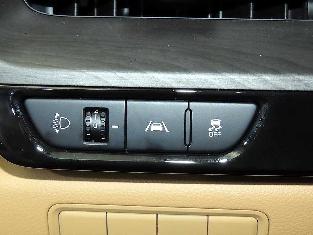 Kia Carnival — photo 14