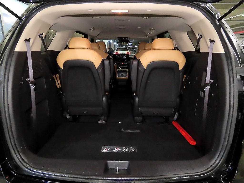 Kia Carnival — photo 17