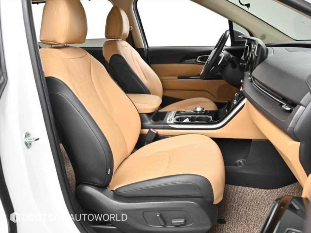 Kia Carnival — photo 10