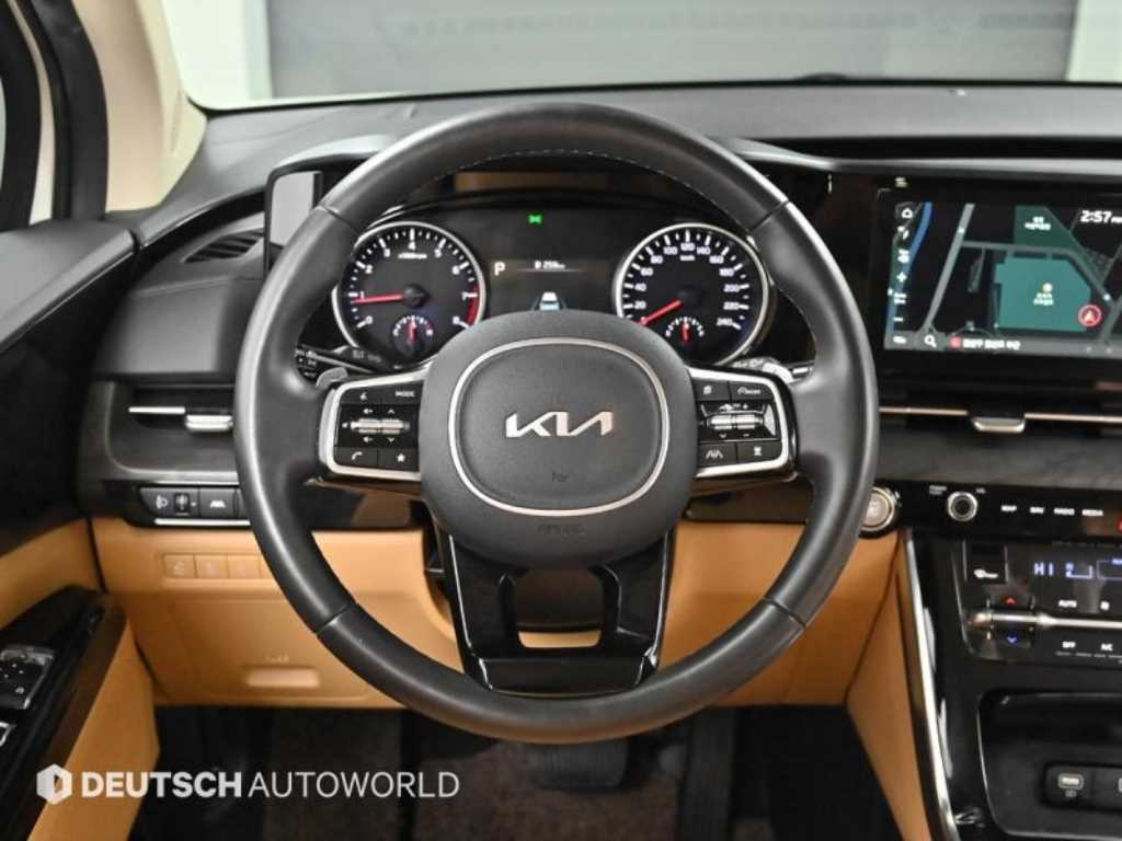 Kia Carnival — photo 13