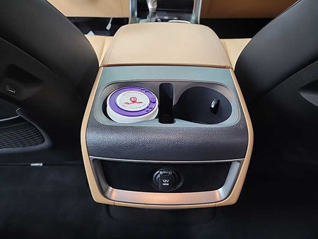 Kia Carnival — photo 13