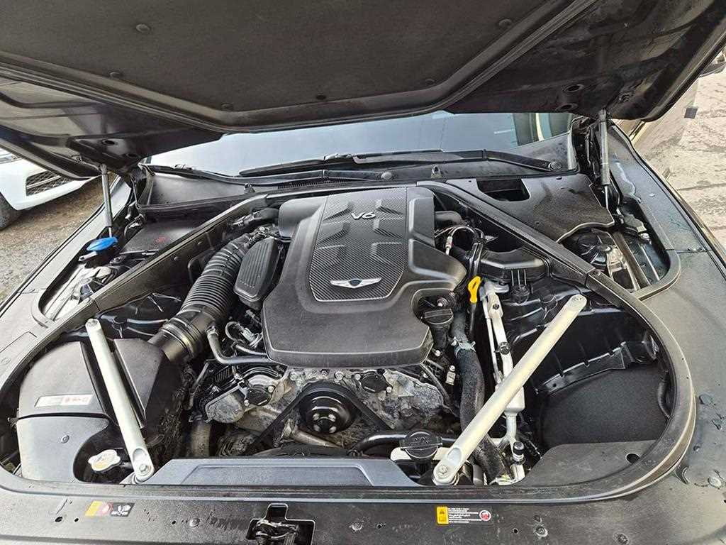 Genesis G90 — photo 19