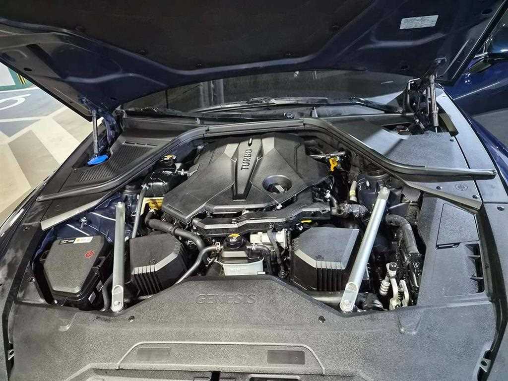 Genesis G80 — photo 19