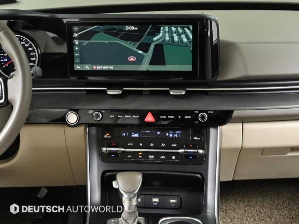 Kia Carnival — photo 14