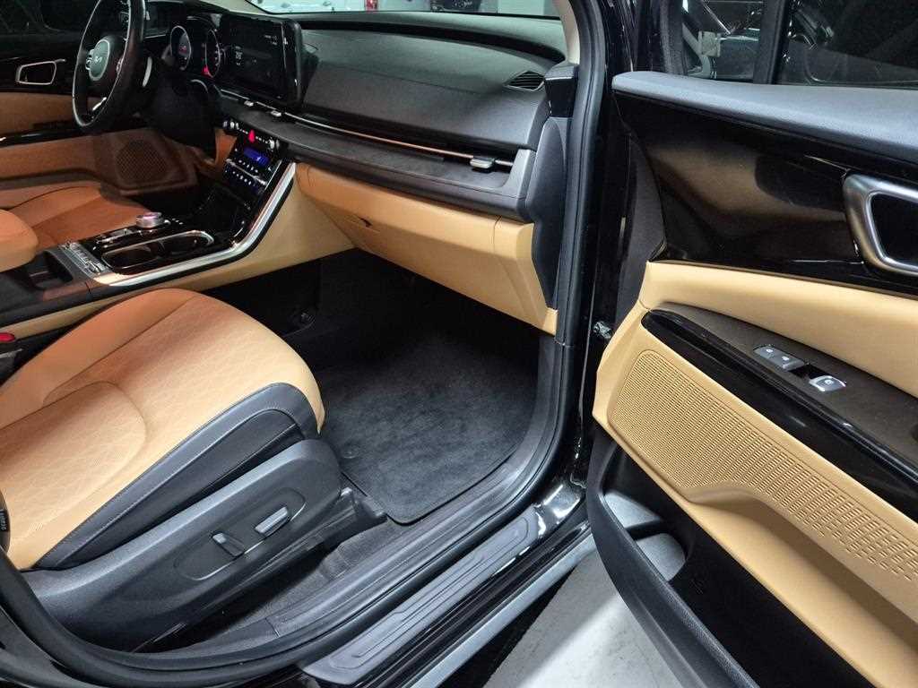 Kia Carnival — photo 10