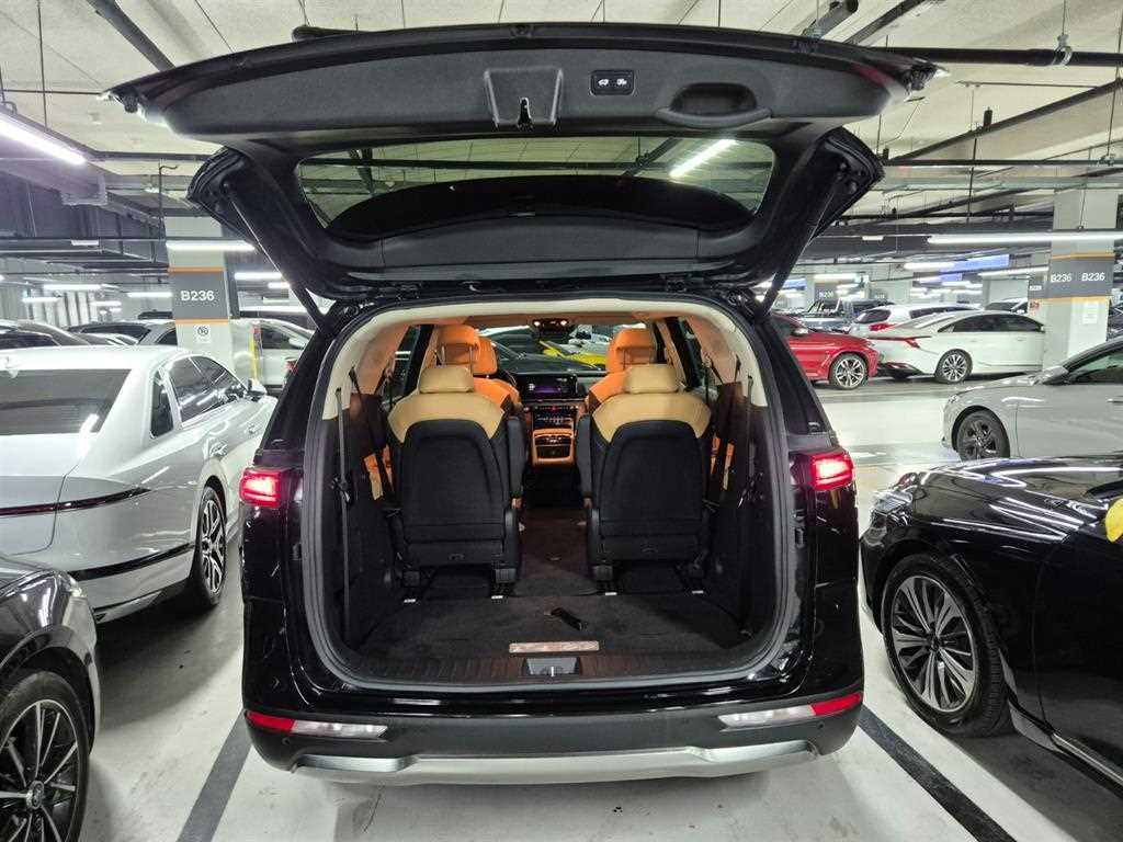 Kia Carnival — photo 20