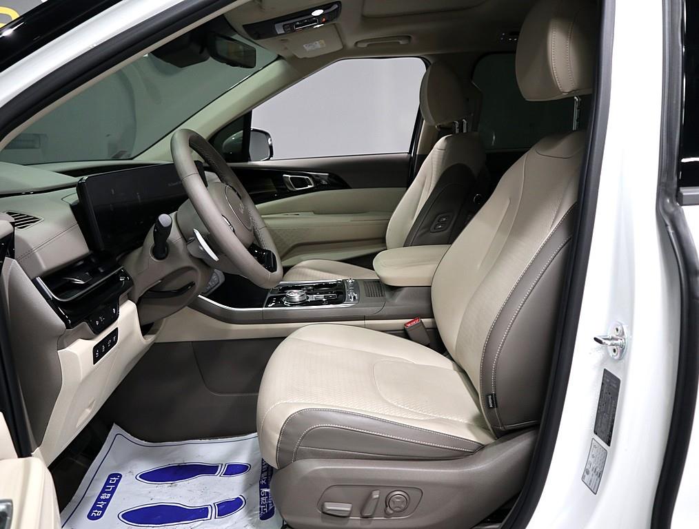 Kia Carnival — photo 09
