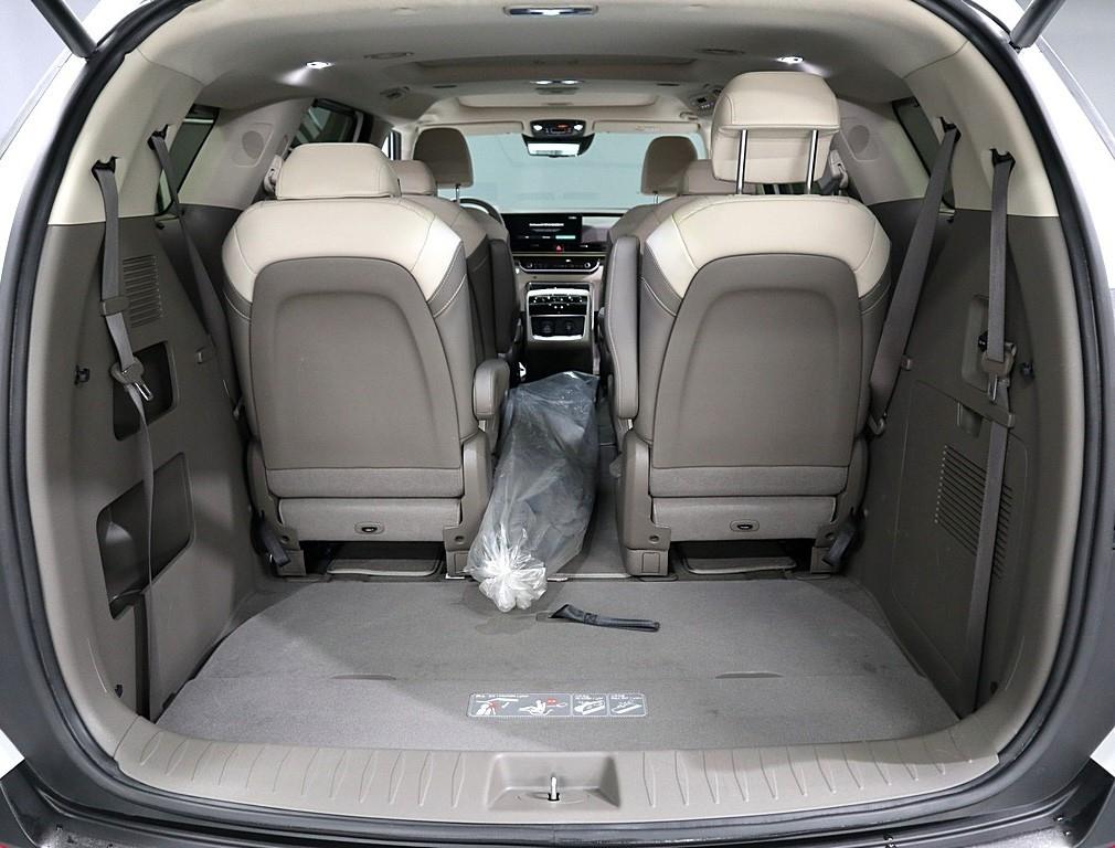 Kia Carnival — photo 15