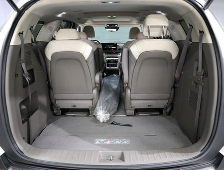 Kia Carnival — photo 15