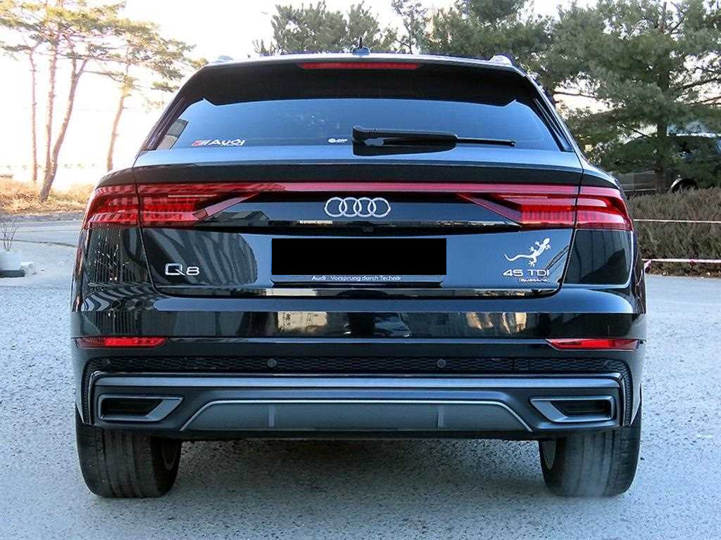 Audi Q8 — photo 04