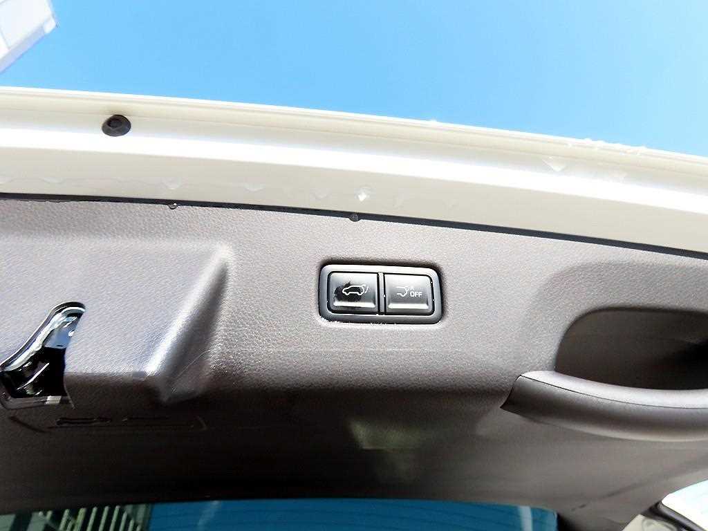 Kia Carnival — photo 18