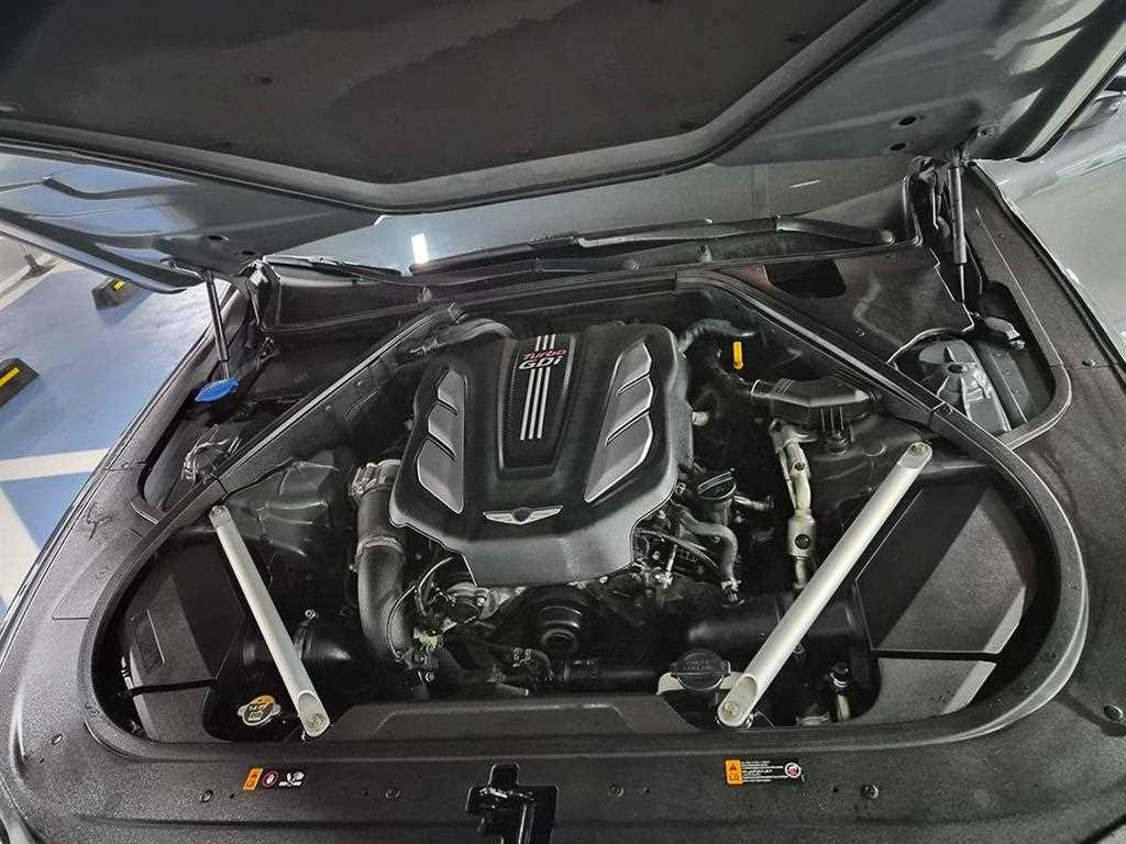 Genesis G90 — photo 19