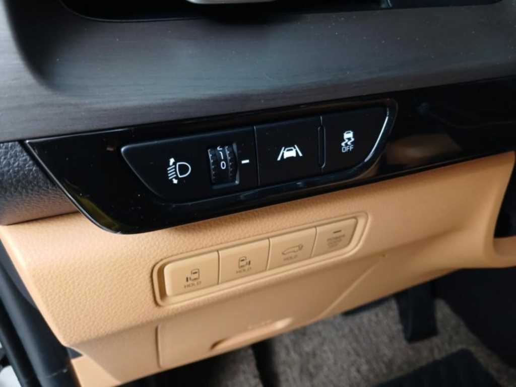 Kia Carnival — photo 10