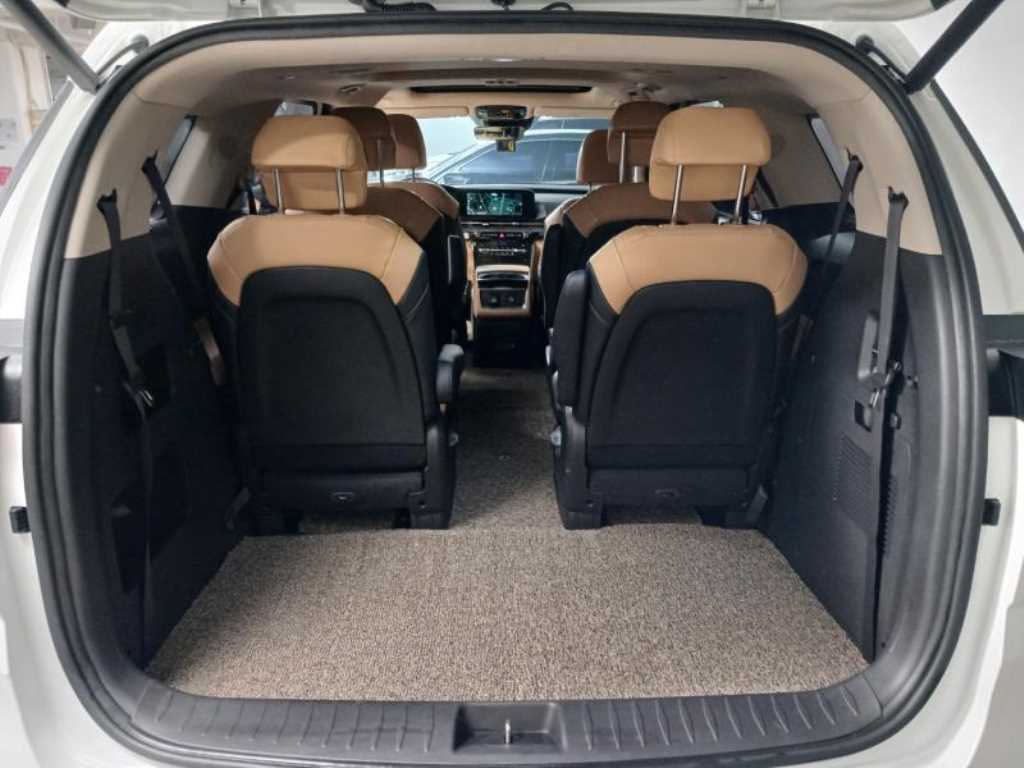 Kia Carnival — photo 18