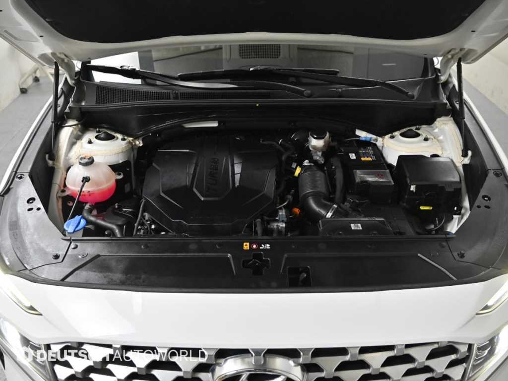 Hyundai Santafe — photo 06