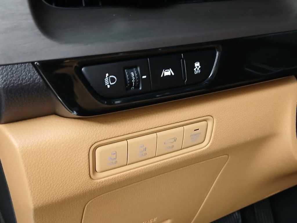 Kia Carnival — photo 10