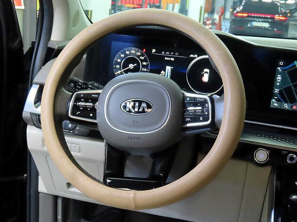 Kia Carnival — photo 08
