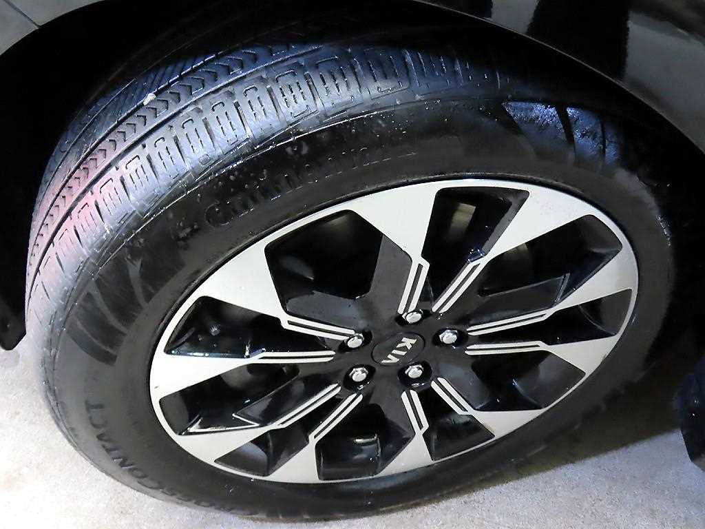 Kia Carnival — photo 20