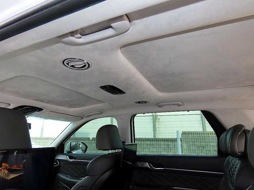 Hyundai Palisade — photo 13