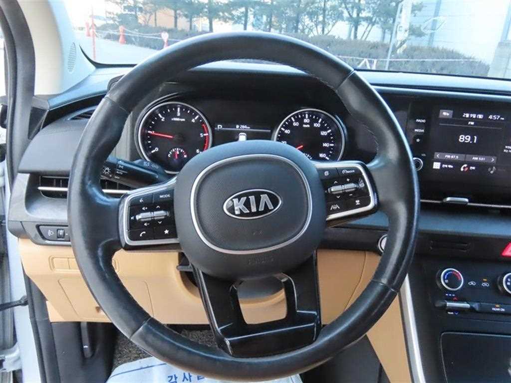 Kia Carnival — photo 10