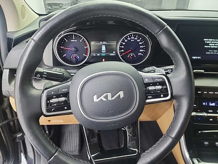 Kia Carnival — photo 09