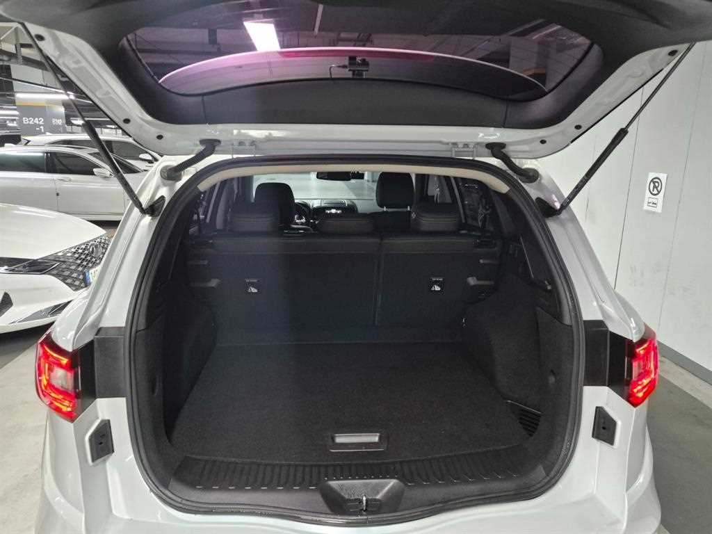 RENAULT QM6 — photo 18
