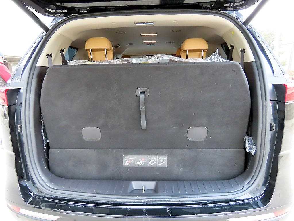 Kia Carnival — photo 16