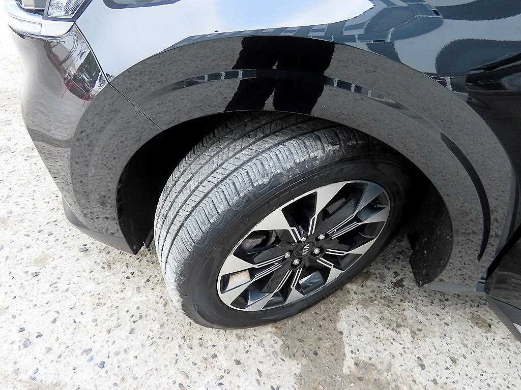 Kia Carnival — photo 20