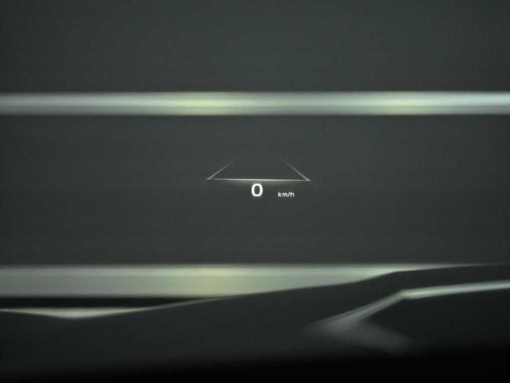 Kia K9 — photo 18
