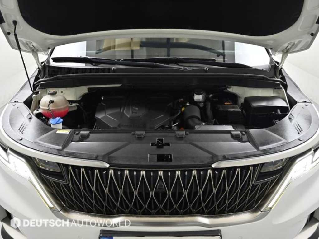 Kia Carnival — photo 19