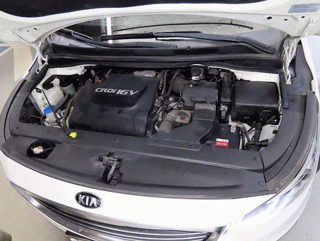 Kia Carnival — photo 19