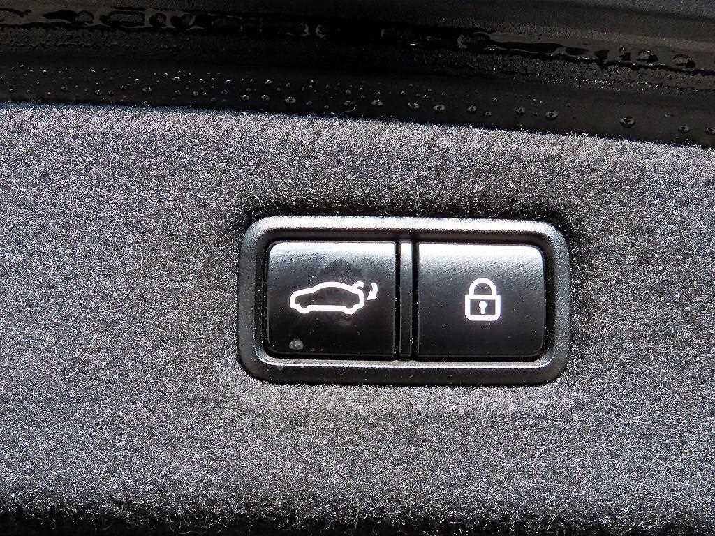 Genesis G90 — photo 18