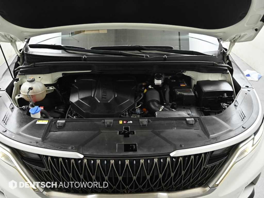 Kia Carnival — photo 20