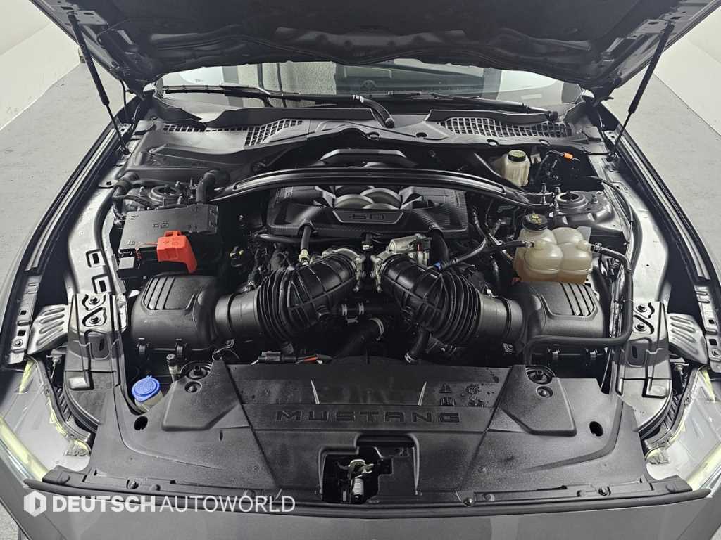 Ford Mustang — photo 06
