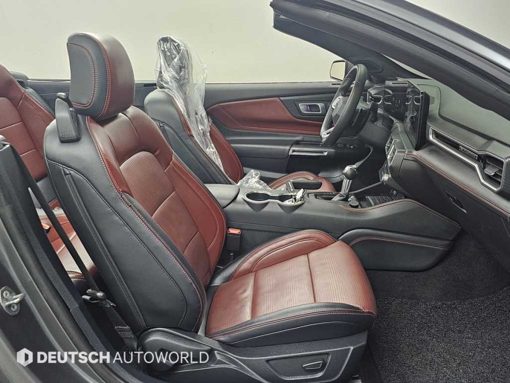 Ford Mustang — photo 10